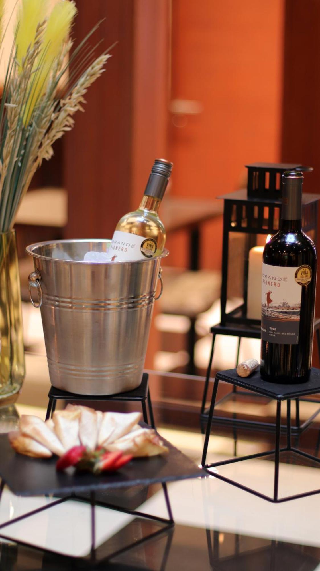 Concha Y Toro 33 Hotel Boutique By Nobile Santiago Eksteriør bilde